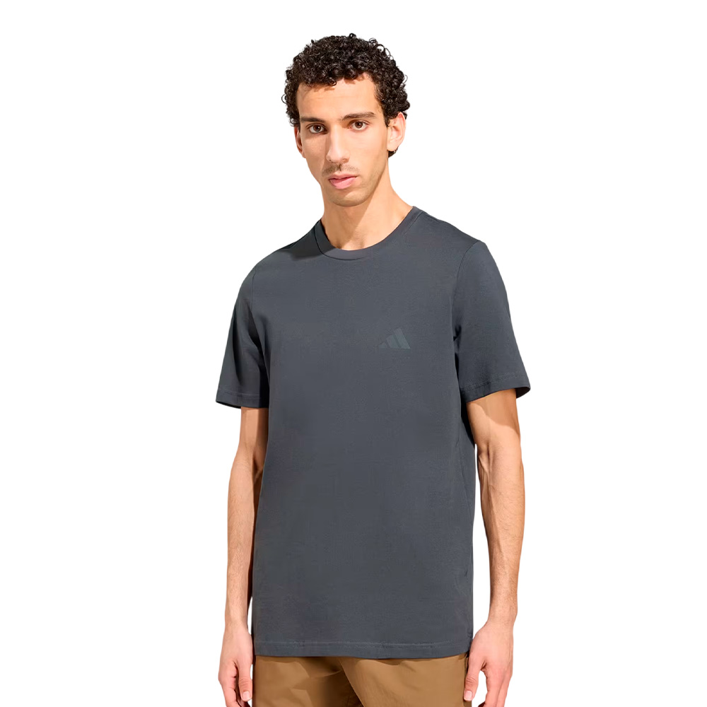 Polo Varon Adidas Graphic Terrex Mountain (KR4896) - Imagen 2